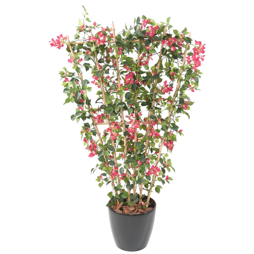 BOUGAINVILLEA (Drillingsblume) NEW SICHTSCHUTZMATTE IN BOLL