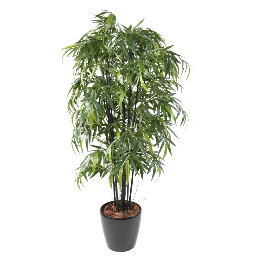 BAMBUS BLACK NATURAL NC IN BOLL