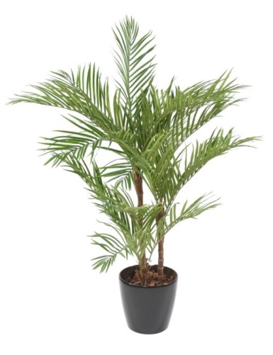 PALMERA ARECA*3 EN MACETA