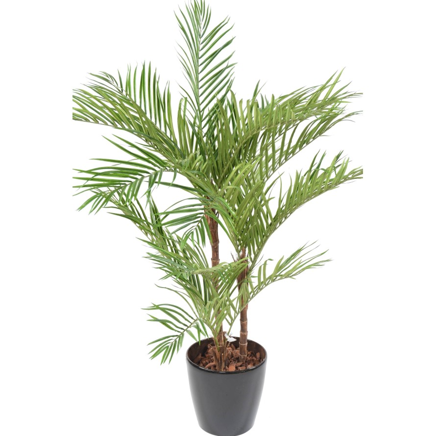 PALMERA ARECA*3 EN MACETA
