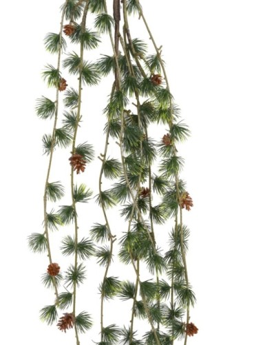 KIEFER ZWEIG HÄNGEKUNSTPFLANZE