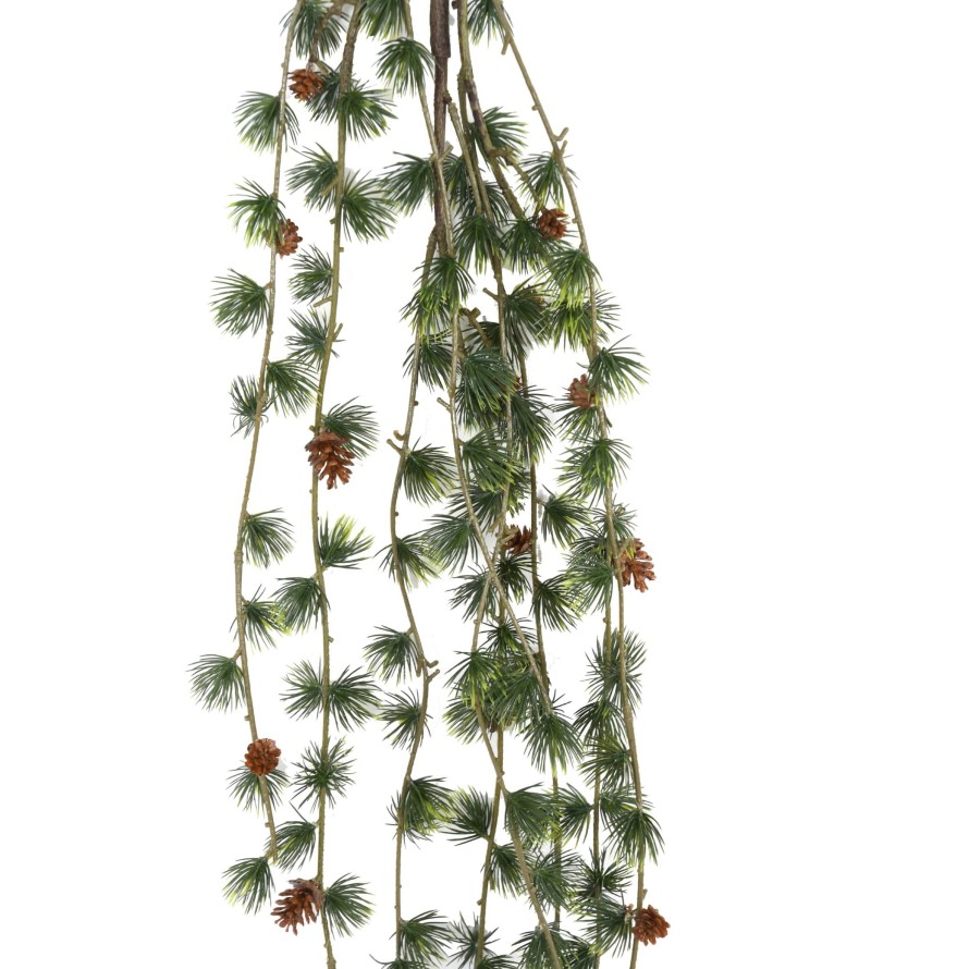 KIEFER ZWEIG HÄNGEKUNSTPFLANZE