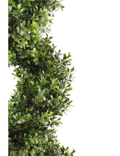 BOJ NEW ESPIRAL FINA