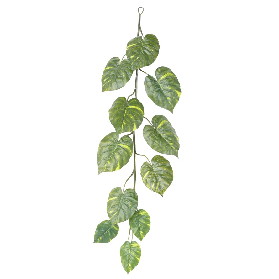 POTHOS GIANT GIRLANDE
