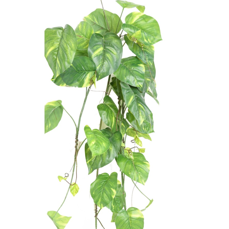 POTHOS COLGANTE LARGE
