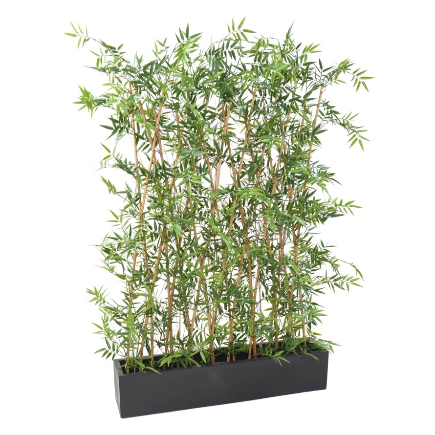 BAMBÚ JAPONÉS SETO EN JARDINERA