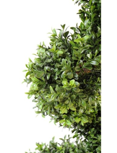 BOJ NEW ESPIRAL FINA