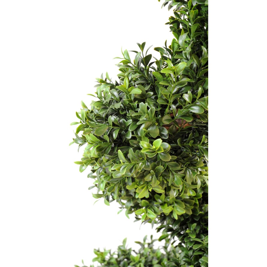 BUCHSBAUM NEW FEINE SPIRALE