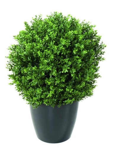 BUCHSBAUM KUGEL „RED DAY“...