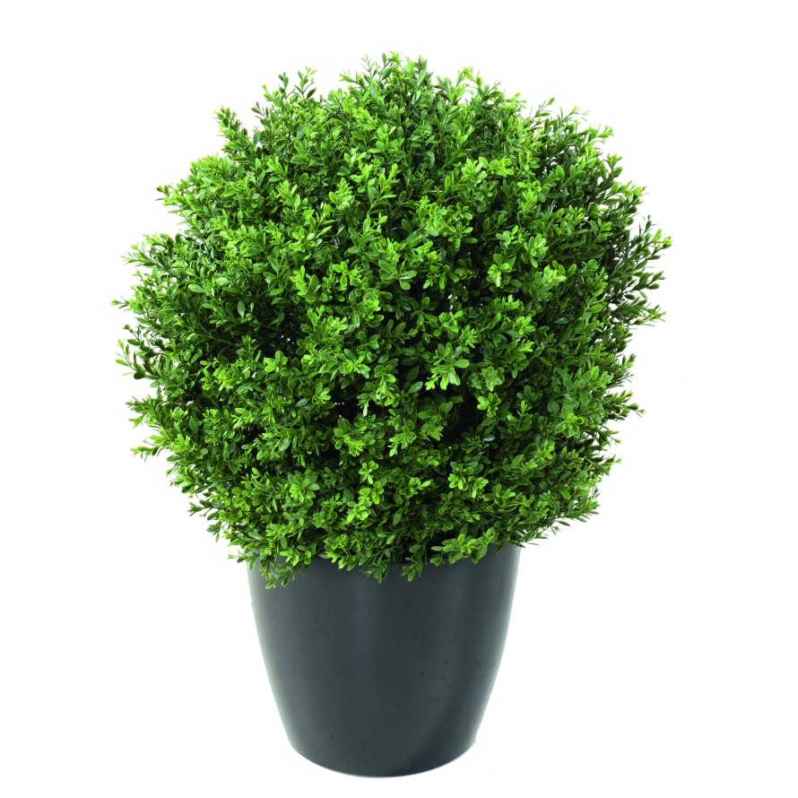 BUCHSBAUM KUGEL „RED DAY“ UV IN BOLL