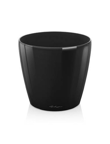 Classico Premium - Negro...