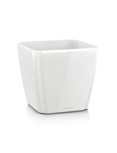 Quadro Premium - Blanco...