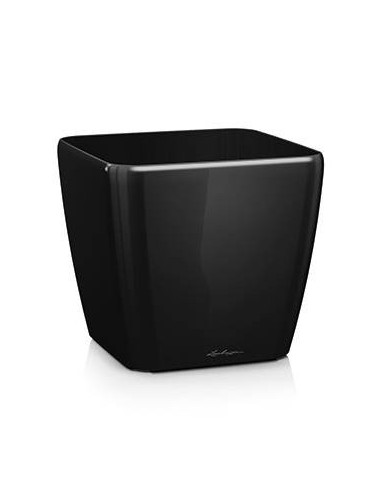 Quadro Premium - Negro...