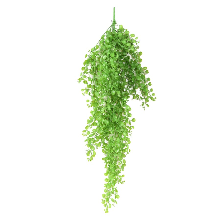 DICHONDRA MINI HÄNGEKUNSTPFLANZE