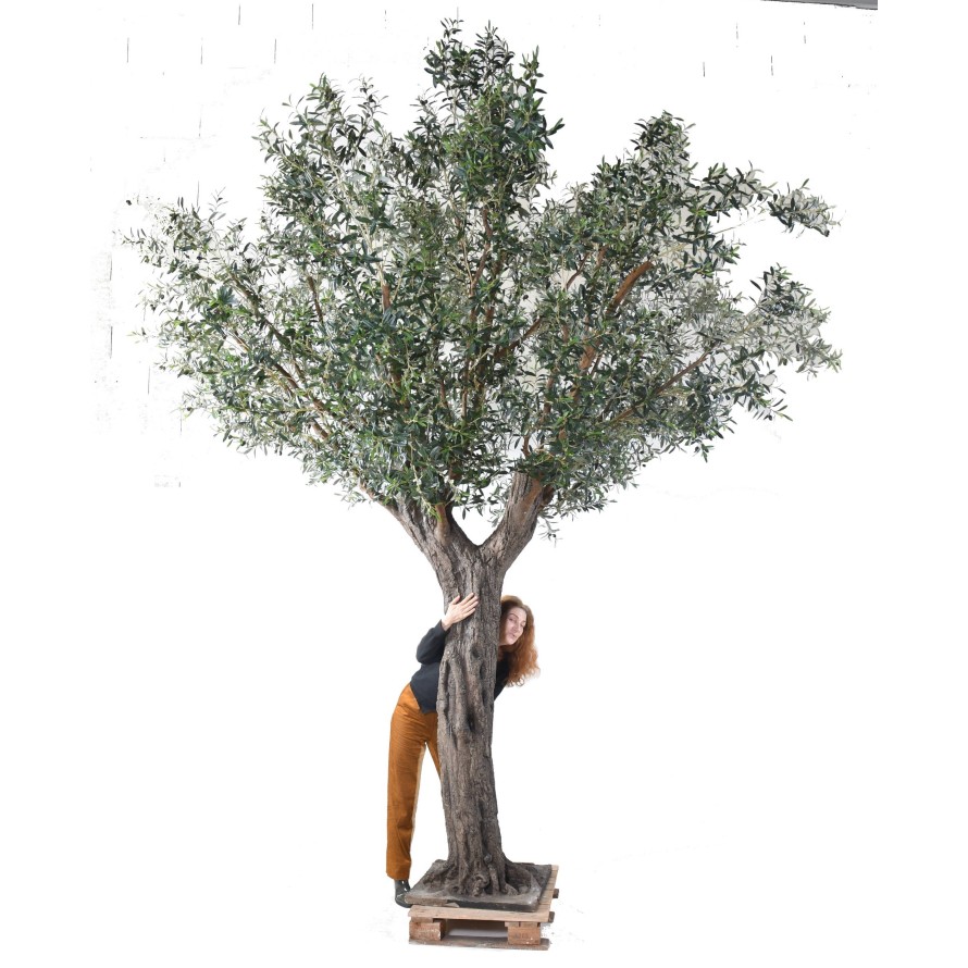 OLIVE TREE 390