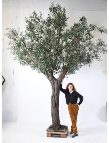 OLIVE TREE 390