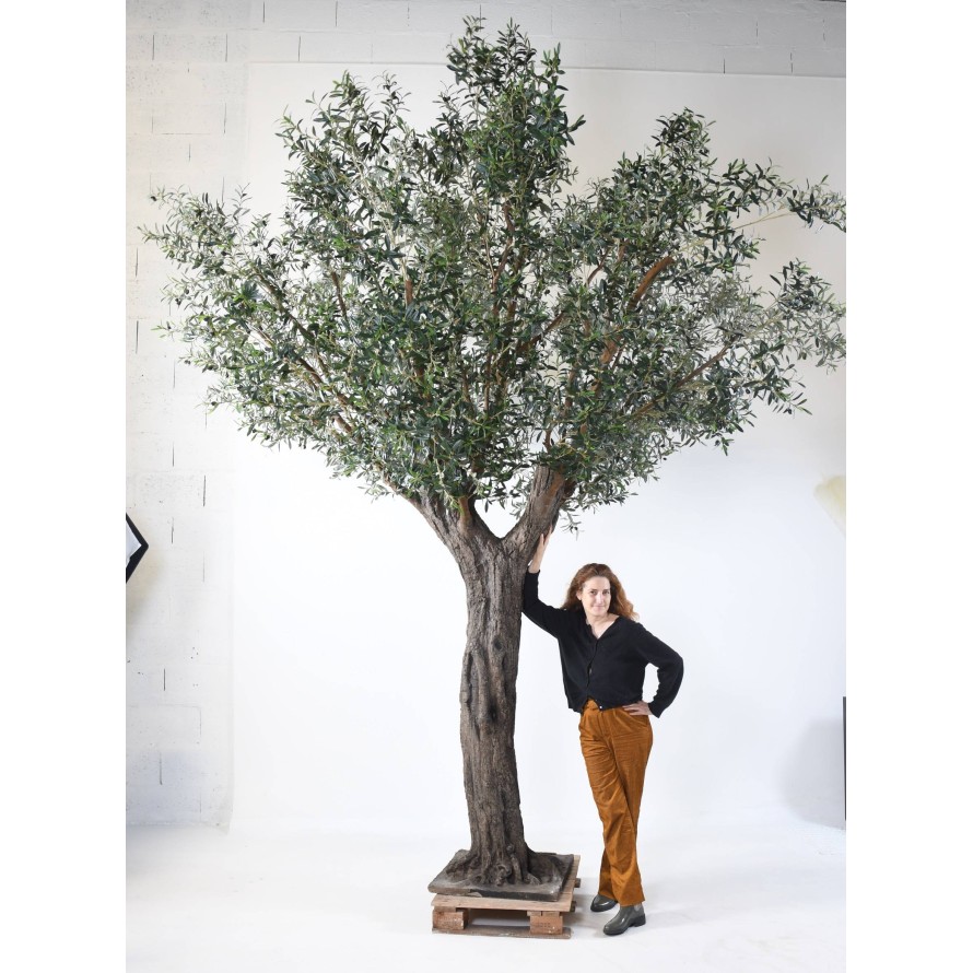 OLIVE TREE 390