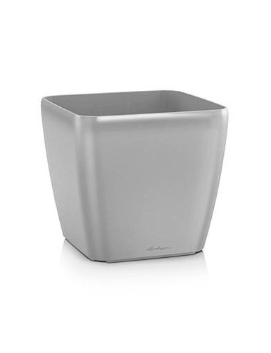 Quadro Premium - Plata...