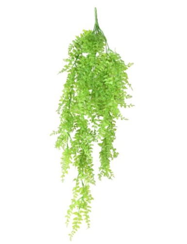 FARN BOSTON HÄNGEKUNSTPFLANZE