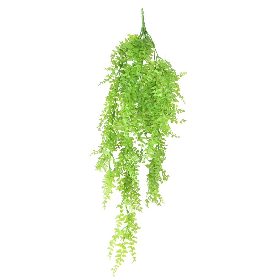 HELECHO BOSTON COLGANTE