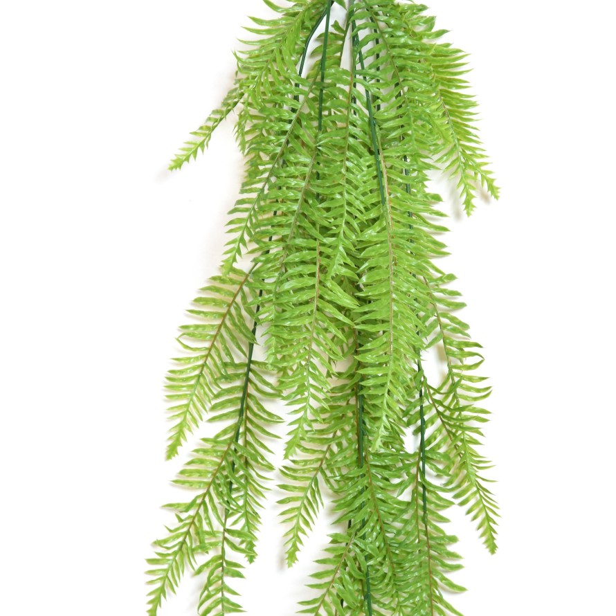 HELECHO COLGANTE LARGO