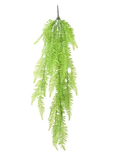 HELECHO COLGANTE LARGO