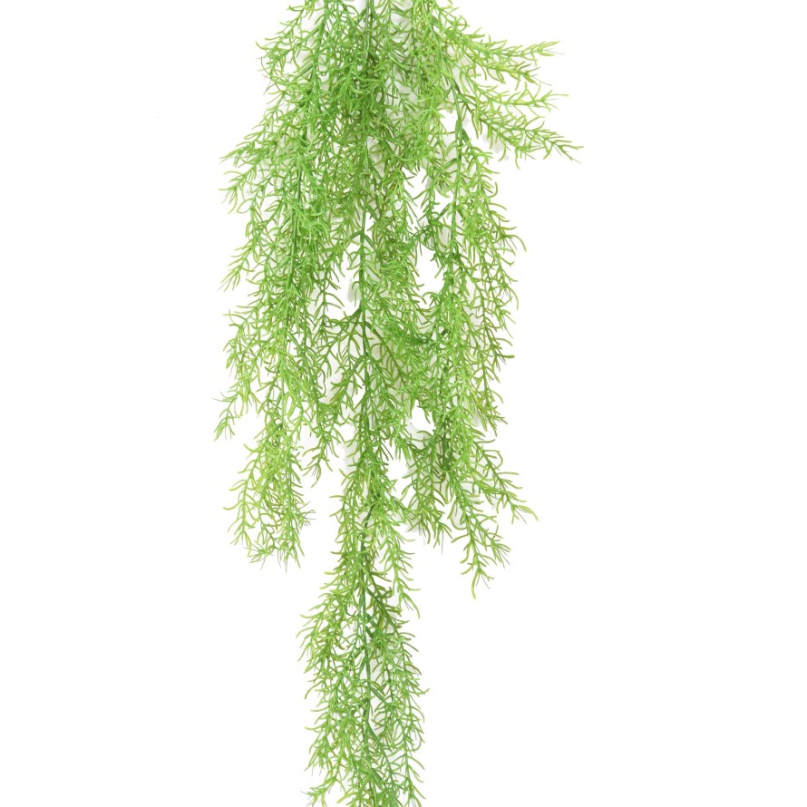 RHIPSALIS MINI HÄNGEKUNSTPFLANZE