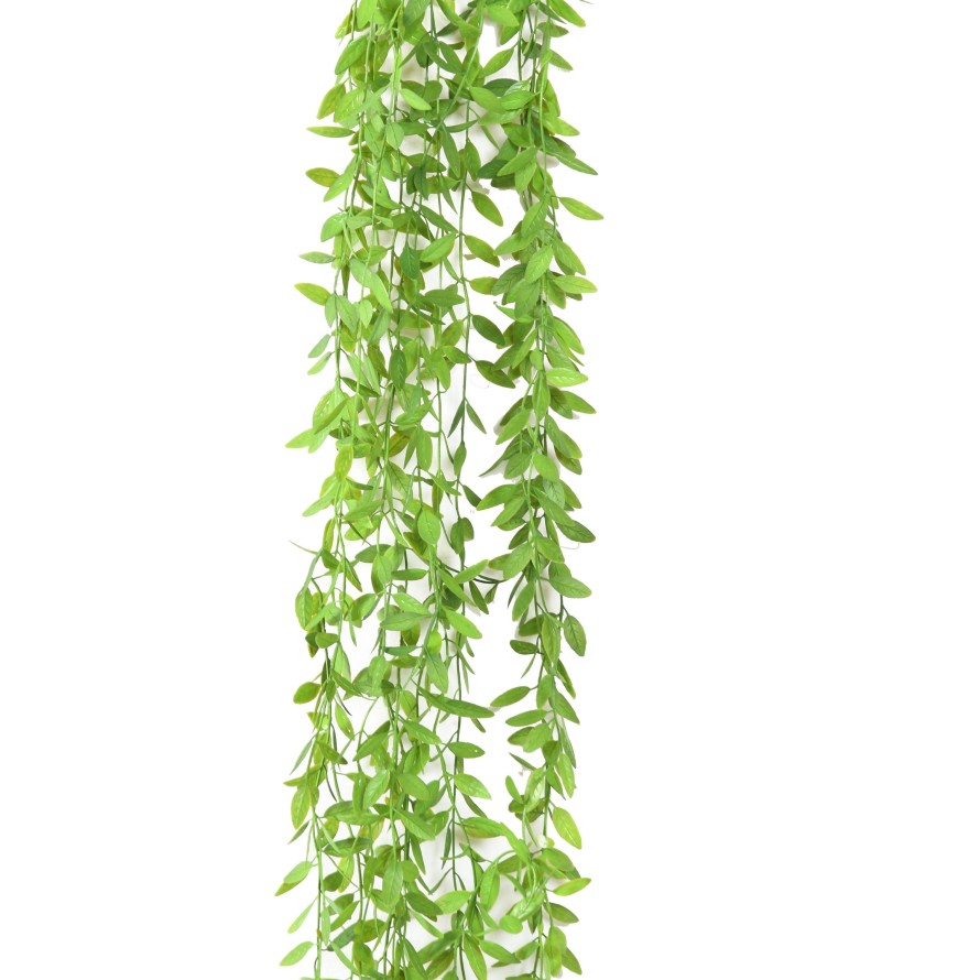 EUCALYPTUS MINI HANGING BUSH