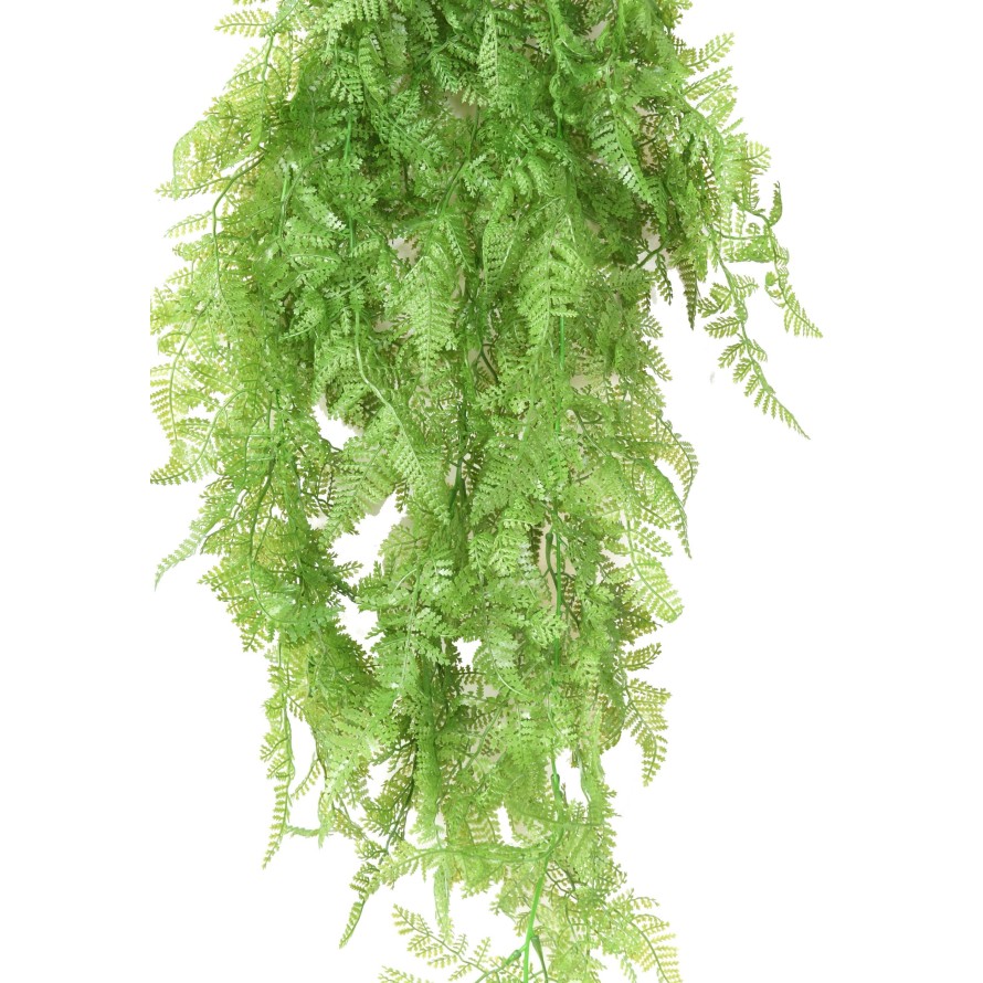 FARN HÄNGEKUNSTPFLANZE 72