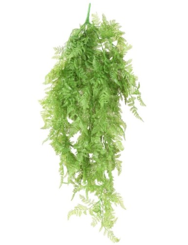 FARN HÄNGEKUNSTPFLANZE 72