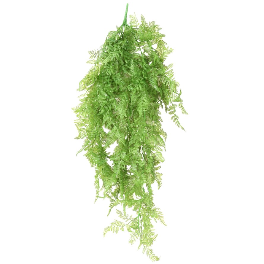 FARN HÄNGEKUNSTPFLANZE 72