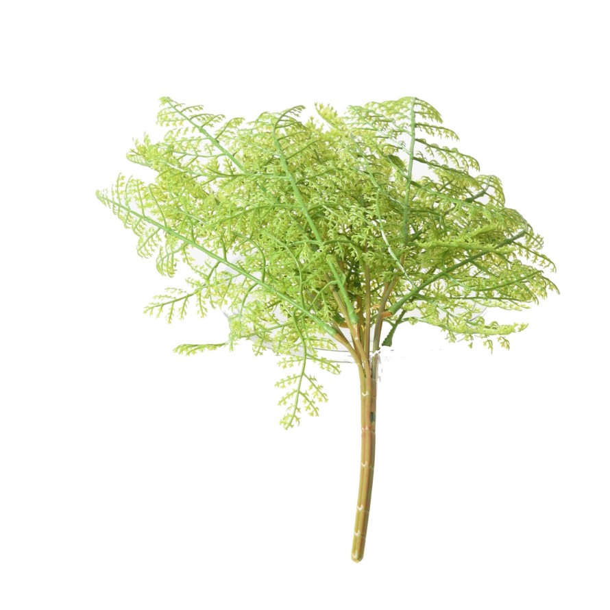 HELECHO SIN MACETA S