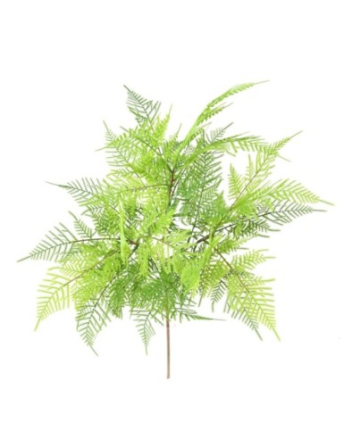 HELECHO SIN MACETA L