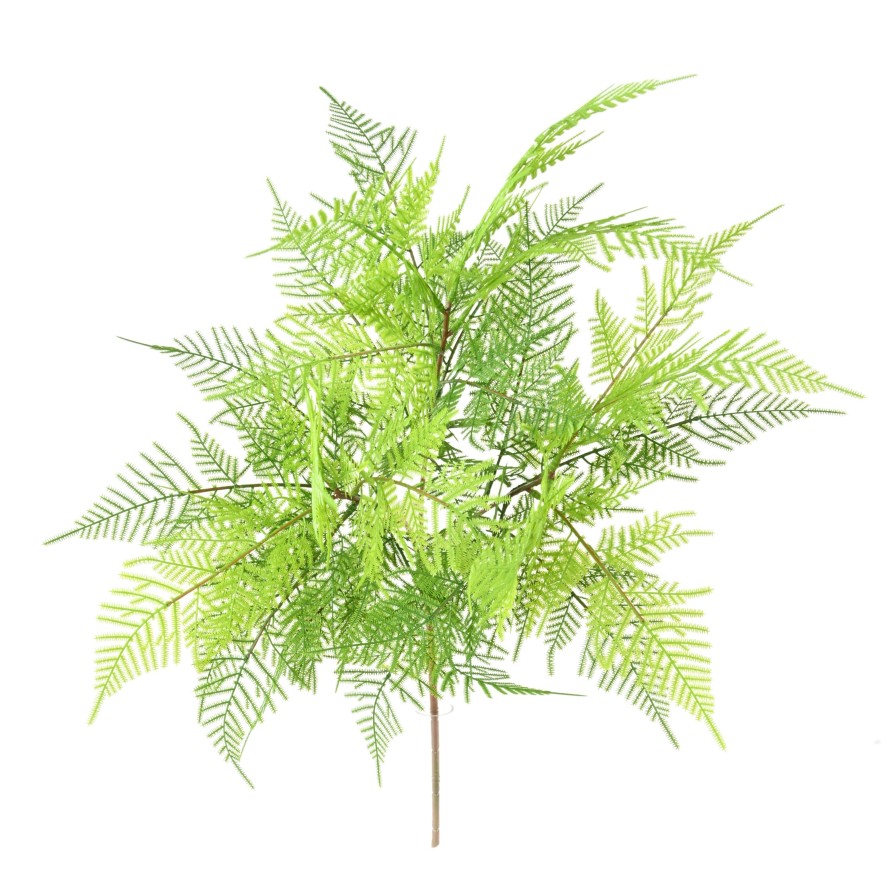 HELECHO SIN MACETA L