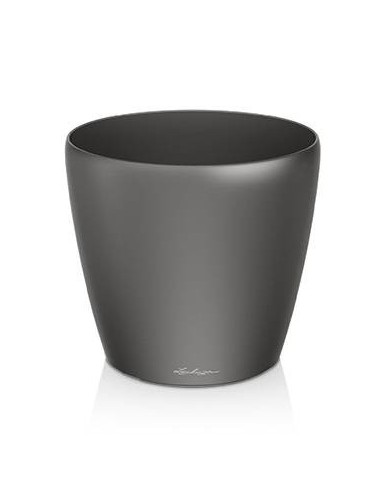 Classico Premium –...