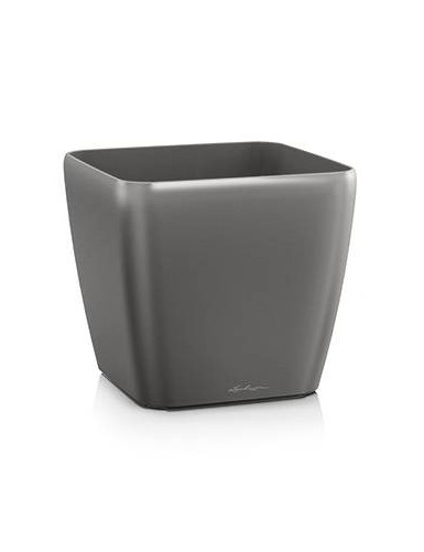 Quadro Premium –...