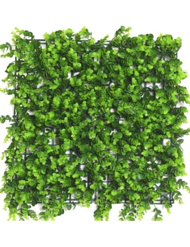 WAND EUKALYPTUS 81 50 × 50