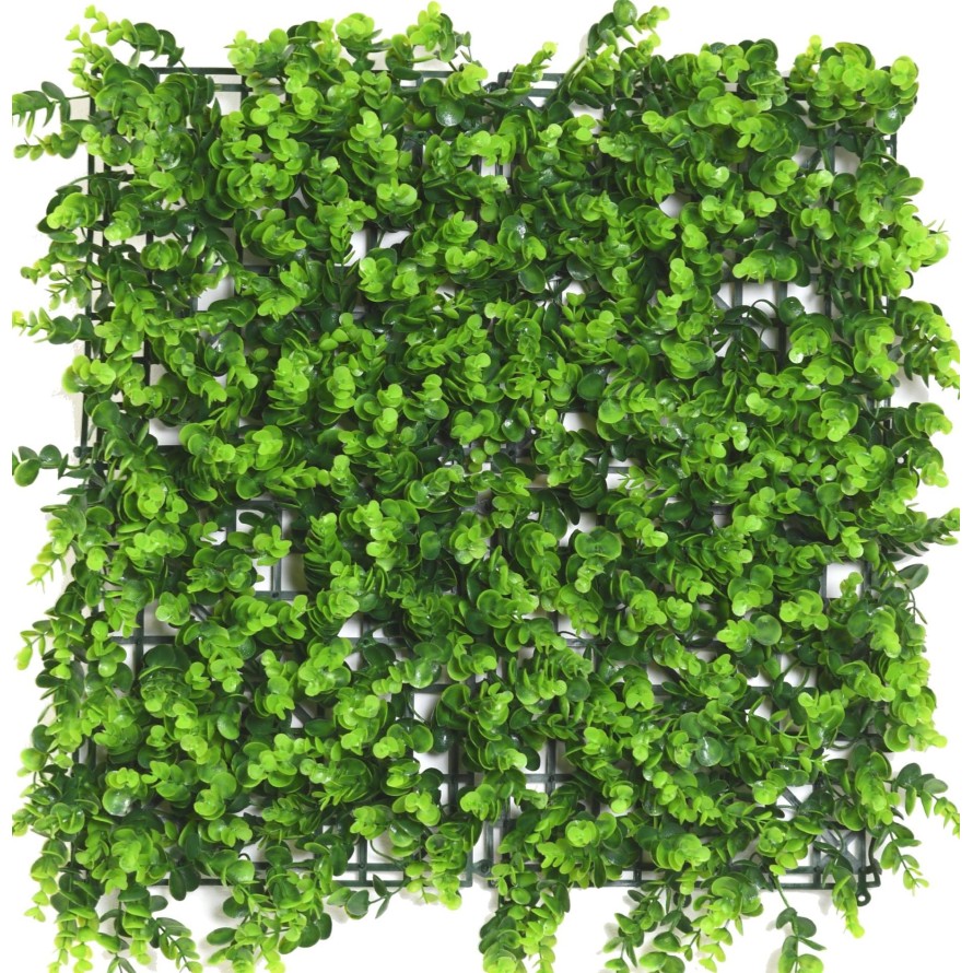 PANEL DE JARDÍN VERTICAL EUCALIPTO 50*50