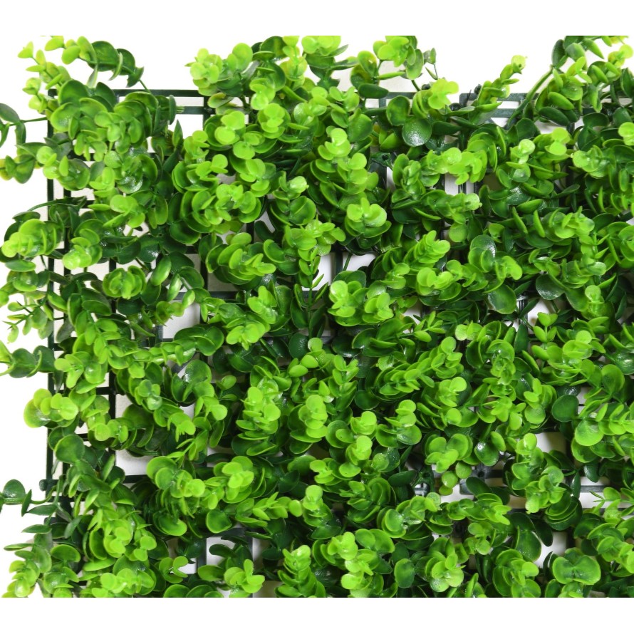 GREEN WALL EUCALYPTUS PANEL 50*50