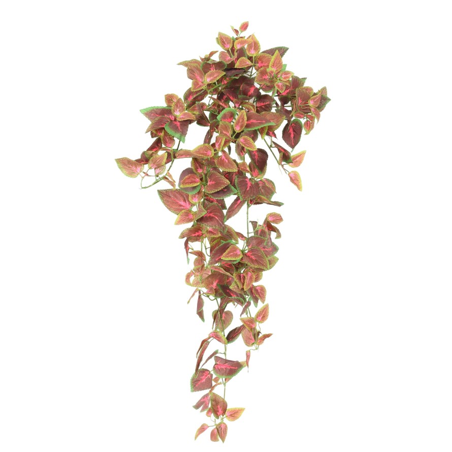 COLEUS HÄNGEKUNSTPFLANZE 75