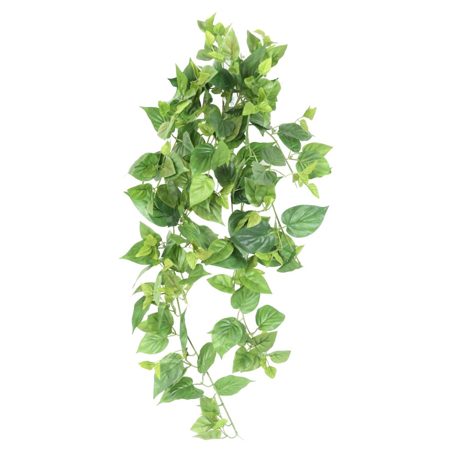 POTHOS MINI COLGANTE