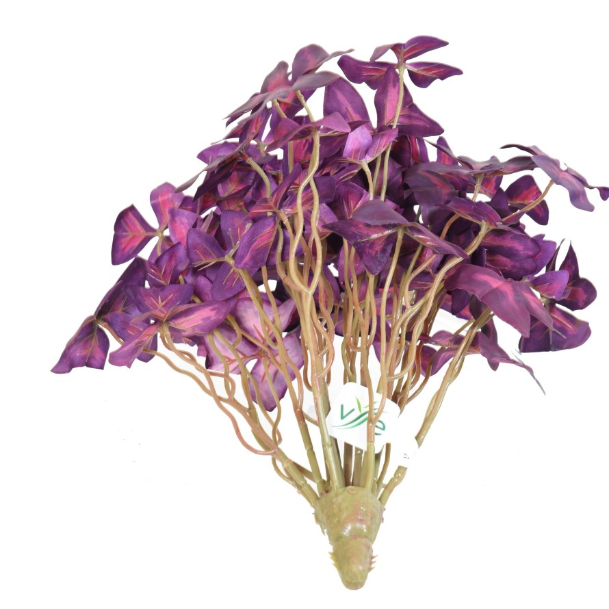 OXALIS (Kleeblatt)