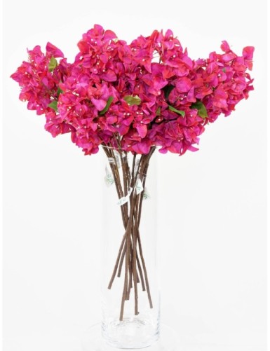 BOUGAINVILLEA-ZWEIG
