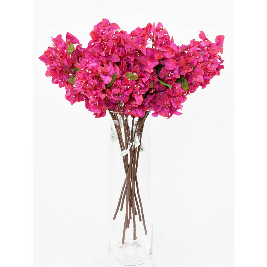 BOUGAINVILLEA-ZWEIG