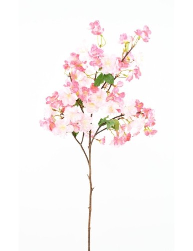 CHERRY BLOSSOM SPRAY 105