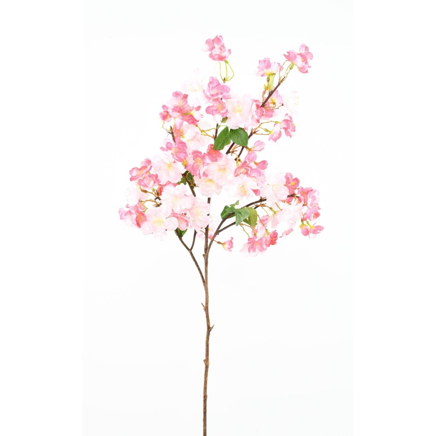 CHERRY BLOSSOM SPRAY 105