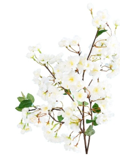 CHERRY BLOSSOM SPRAY 105