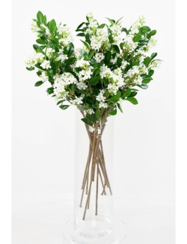 JASMIN BLÜTE ZWEIG 70