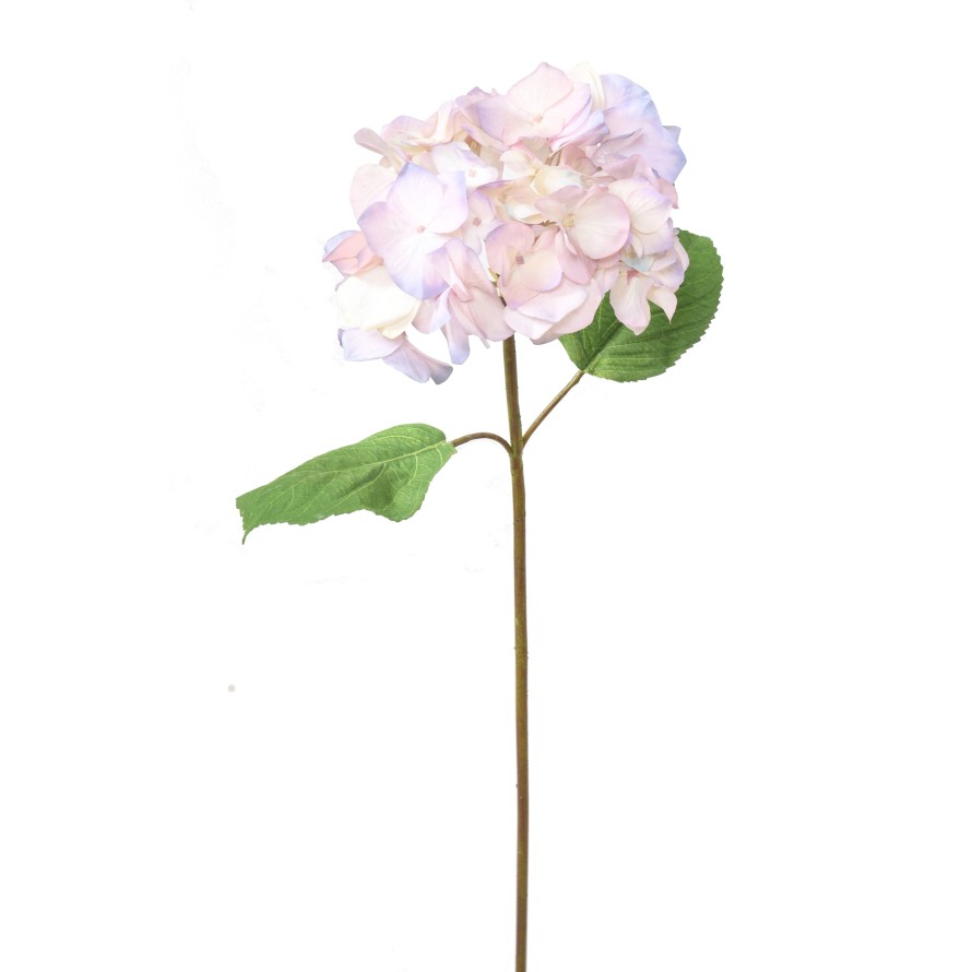 HORTENSIA KRONE