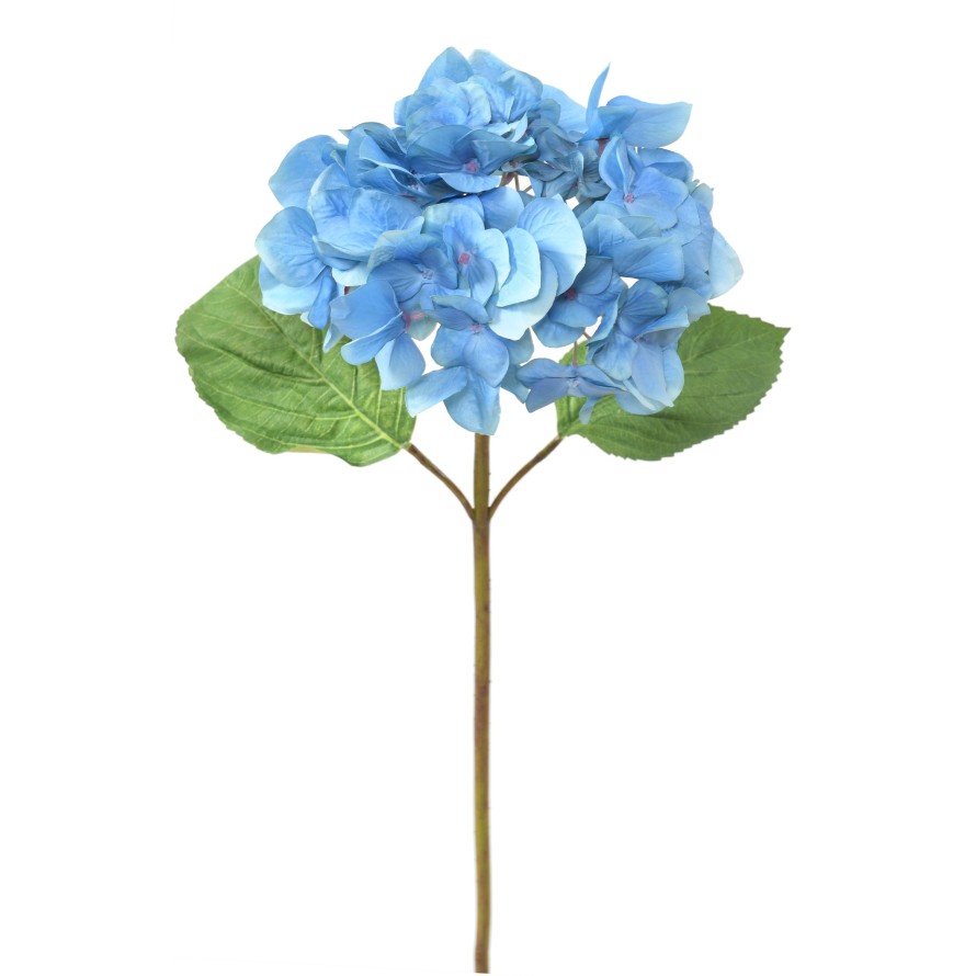 HORTENSIA KRONE